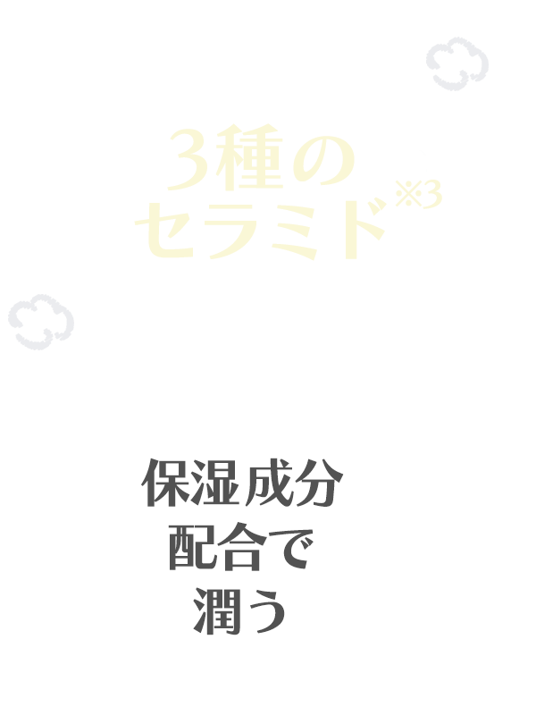 ３種のセラミド：保湿成分配合で潤う